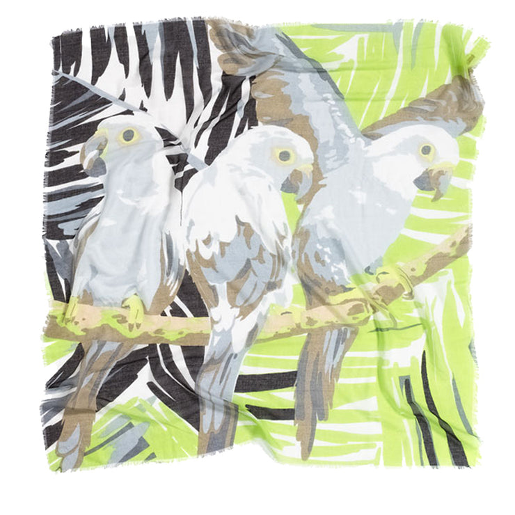 Echo 'Perched Parrots' Scarf- Black